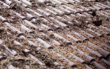 Bircher roof cleaning companies