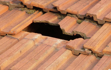 roof repair Bircher, Herefordshire